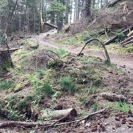 10 Person In Fjerritslev-by Traum *